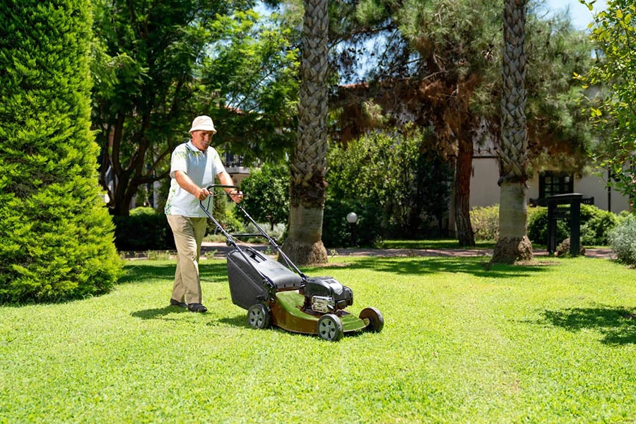 best electric lawnmower